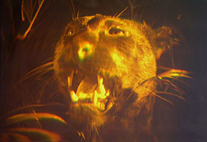PANTHER 1990