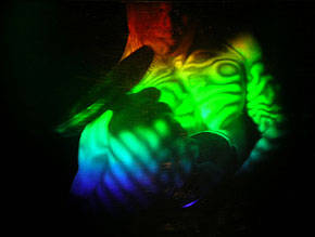 BODYBUILDER INTERFEROGRAM 1984