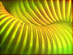 HOSEPIPES 1980