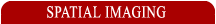 Spatial Imaging