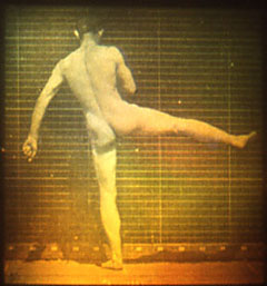 ARABESQUE 1989